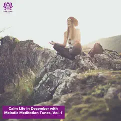 Calm Life in December with Melodic Meditation Tunes, Vol. 1 by Various Artists album reviews, ratings, credits