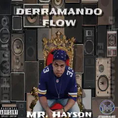 Derramando Flow by Mr Hayson album reviews, ratings, credits