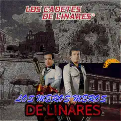 Los Meros Meros de Linares by Los Cadetes De Linares album reviews, ratings, credits