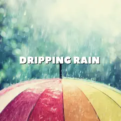 Endless Rain Song Lyrics