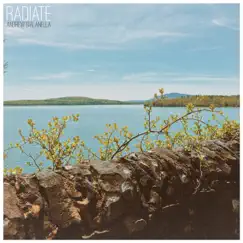 Radiate - Single by Andrew Gialanella album reviews, ratings, credits