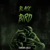 Blackbird - Single album lyrics, reviews, download