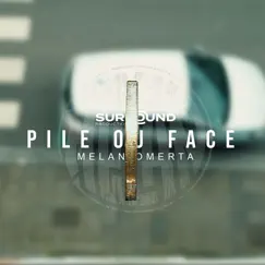 Pile ou face - Single by Melan album reviews, ratings, credits