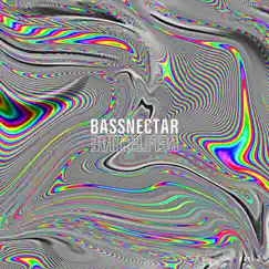 Pineapple (Bassnectar Remix) Song Lyrics