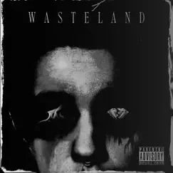 Wasteland - Single by Midnight Merc album reviews, ratings, credits