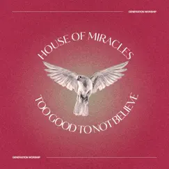 House of Miracles/Too Good To Not Believe (Live) Song Lyrics