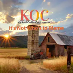 It's Not Who's To Blame (feat. Tim King, Jim Kelley, Brian Waterbury, Chris Brush & Robert Ray) Song Lyrics