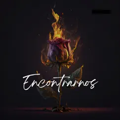 Encontrarnos (feat. ZELL & Shewak) Song Lyrics