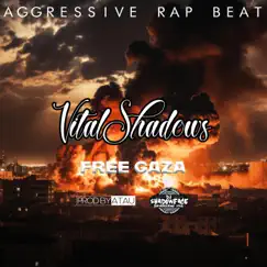 FREE GAZA (feat. prodbyatau & DJ SHADOWFACE) Song Lyrics