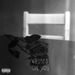 Wasted On You - Single by 28. & The.Blind.Monkey album reviews, ratings, credits