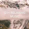 !!!" 12 H Relaxing Music "!!! album lyrics, reviews, download