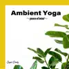 Ambient Yoga 〜Peace of Mind〜 album lyrics, reviews, download