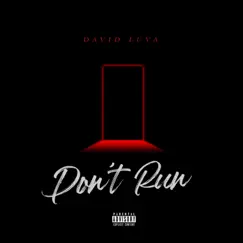 Don't Run - Single by David Luva album reviews, ratings, credits