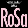 Rosa (feat. LoFiLu) - EP album lyrics, reviews, download