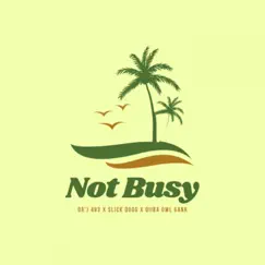 Not Busy (feat. Dr'J 483 & Qiiba Owl Gank) Song Lyrics