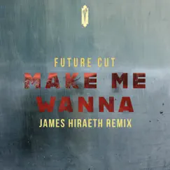 Make Me Wanna (James Hiraeth Remix) Song Lyrics