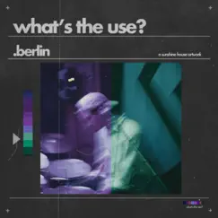 What's the Use? Song Lyrics