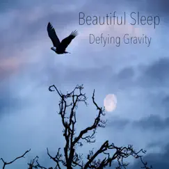 Defying Gravity - Single by Beautiful Sleep album reviews, ratings, credits