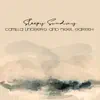 Sleepy Sunday (Piano and Flute) - Single album lyrics, reviews, download