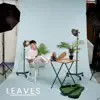 Leaves album lyrics, reviews, download