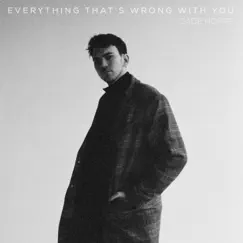 Everything That's Wrong with You Song Lyrics