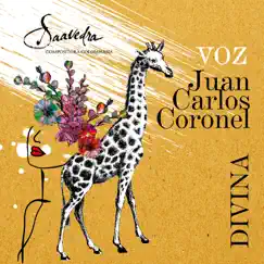Divina - Single by Juan Carlos Coronel album reviews, ratings, credits