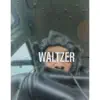 Waltzer - Single album lyrics, reviews, download