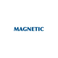 Magnetic - Single by Budo album reviews, ratings, credits