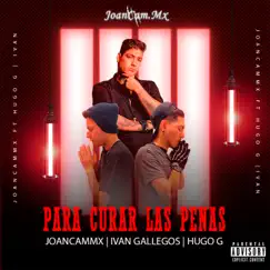 Para Curar las Penas (feat. Ivan Gallegos & Hugo G) - Single by JoanCam Mx album reviews, ratings, credits