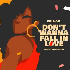 Don't Wanna Fall in Love Song Lyrics