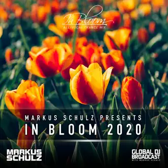 Download I Love You (In Bloom 2020) Key4050 & Plumb MP3
