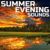 Summer Evening Sounds (feat. Paramount Nature Soundscapes, Paramount Soundscapes, Paramount White Noise, Paramount White Noise Soundscapes & White Noise Plus) album lyrics, reviews, download