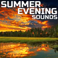 Summer Evening White Noise 3D (feat. Paramount Nature Soundscapes, Paramount Soundscapes, Paramount White Noise, Paramount White Noise Soundscapes & White Noise Plus) Song Lyrics