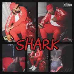 SHARK Mode (Intro) Song Lyrics