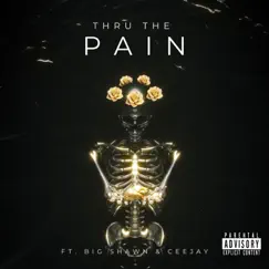 Thru the Pain (feat. CeeJay & Big Shawn) - Single by 4LDee album reviews, ratings, credits