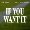 If You Want It - Single album lyrics, reviews, download
