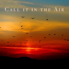 Call it in the Air (feat. Schmorgle) - Single by Salex album reviews, ratings, credits