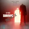 Survivor Instrumental (Remix) song lyrics
