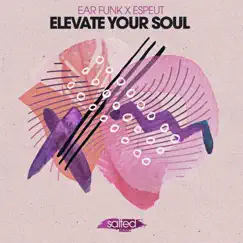 Elevate Your Soul - EP by Ear Funk & Andre Espeut album reviews, ratings, credits