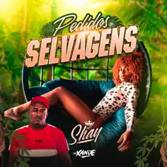 Pedidos Selvagens - Single by Mc Shay & Dj Xande album reviews, ratings, credits