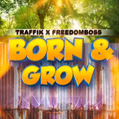 Born & Grow Song Lyrics