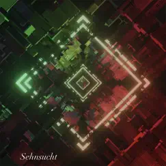 Sehnsucht (Slowed and Reverb Remix) Song Lyrics