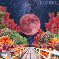 Equinox - Single by Dj Burke album reviews, ratings, credits