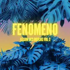 Fenomeno Song Lyrics