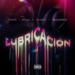 Lubricacion (feat. mole, bvlgarich & akanni) Song Lyrics