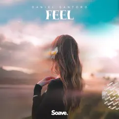 Feel - Single by Daniel Santoro album reviews, ratings, credits