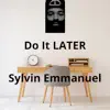Do It Later - Single album lyrics, reviews, download