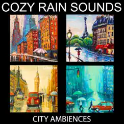 Tokyo by Rain (Cozy Rain, Loopable, No Fade) Song Lyrics