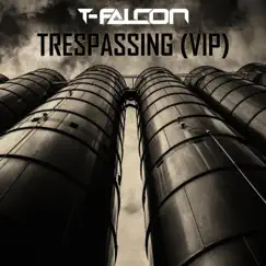 Trespassing (VIP) [Radio Edit] Song Lyrics