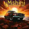 uMshini - Single (feat. Elementrix RSA) - Single album lyrics, reviews, download